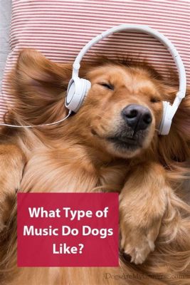 can dogs enjoy music can dogs also communicate through sounds