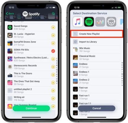 how to transfer playlists from apple music to spotify and the importance of music in our daily lives